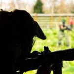 Ofakim residents: ‘A new intifada broke out here’