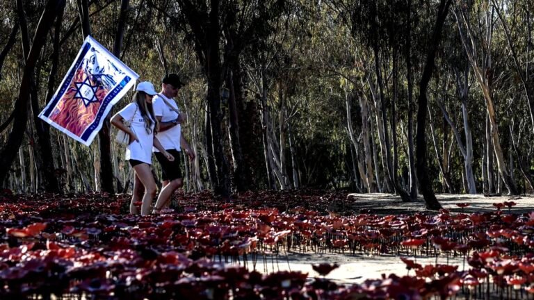 High Court gives Israeli gov't until July 1 to update on progress of Oct. 7 probe framework