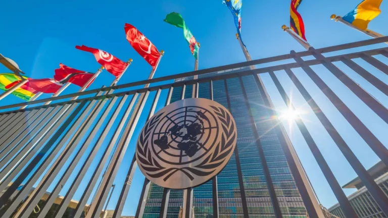 The UN can't afford another appeaser: Why Michelle Bachelet must not lead – opinion