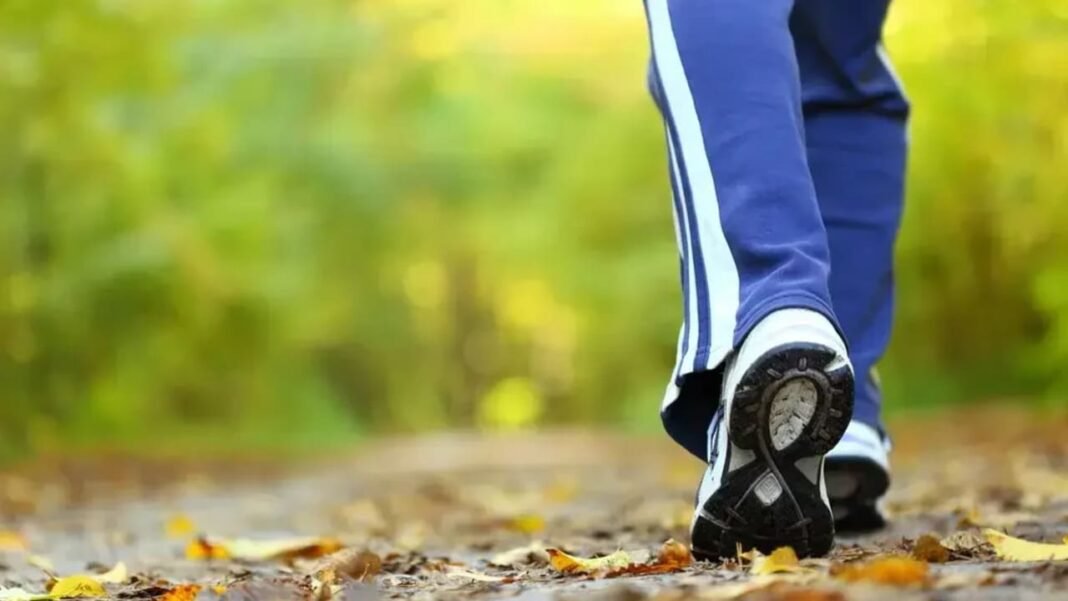 The Jerusalem Post - Israel News