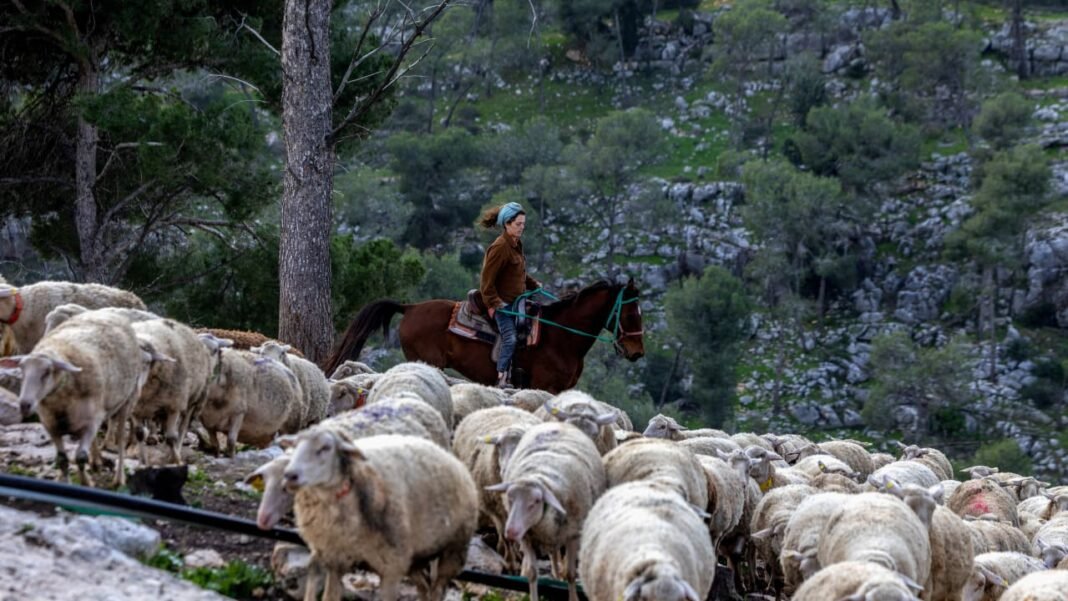 The Jerusalem Post - Israel News