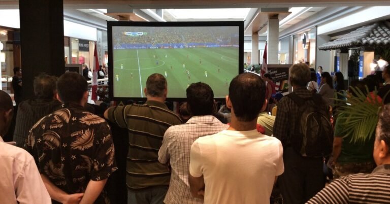 Planning a World Cup Watch Party at a Bar? The ‘FIFA Police’ Are Lurking