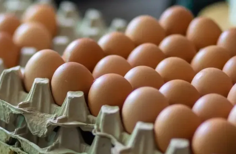 Eggs