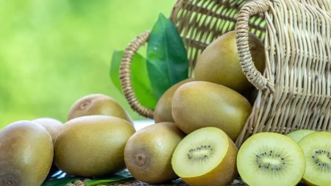 A small superfood with a big impact: What really happens to the body when eating kiwi A small superfood with a big impact: What really happens to the body when eating kiwi