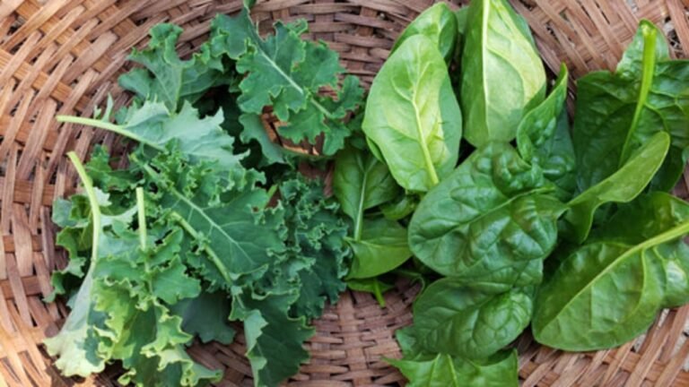 Dr. Maya Rosman clears things up: Kale or spinach – which is healthier?