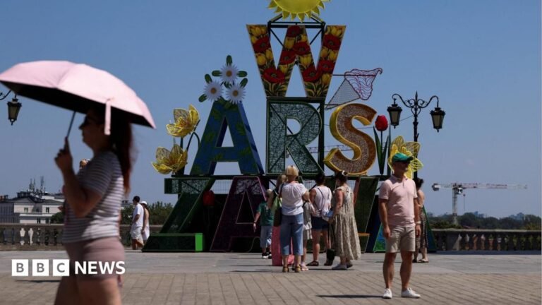 Europe's heatwave linked to 1,300 deaths, WHO says, as Germany hits record 41.7C
