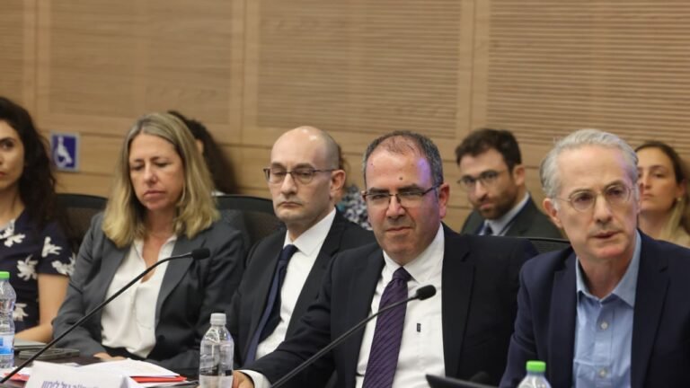 Rothman kicks deputy attorney-general out of Knesset panel debating contentious A-G split bill