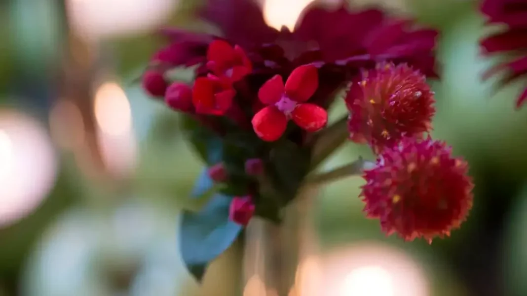 The complementary treatment that cancer patients asked to continue even after it ended