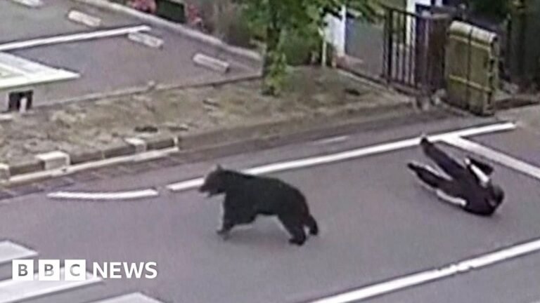 Watch: Man attacked by bear at steel works in Japan
