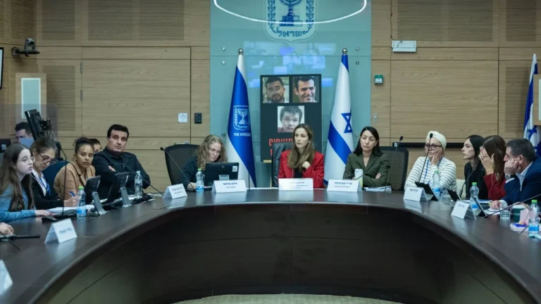 'I want 50% women in every party': Can Israel's next Knesset achieve equal representation?