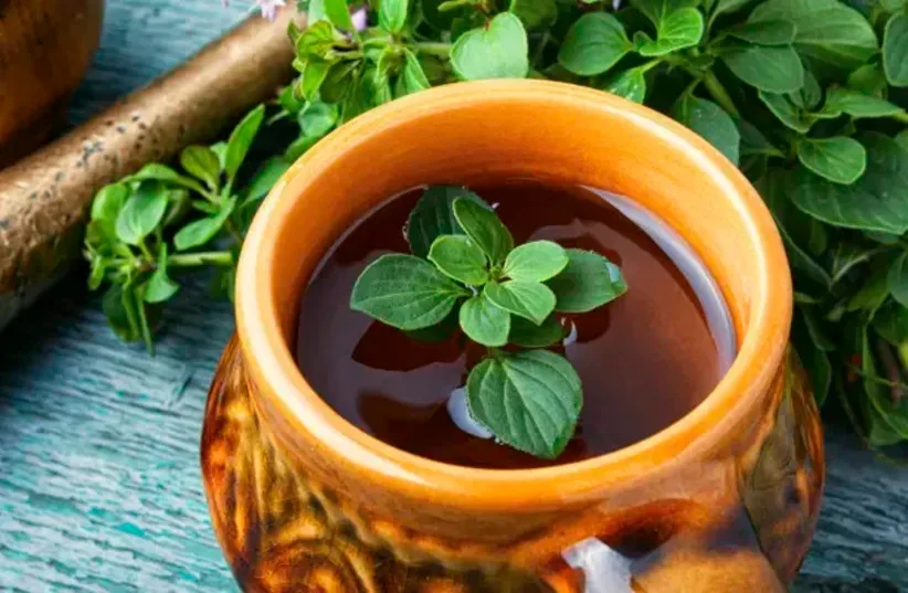 Oregano tea