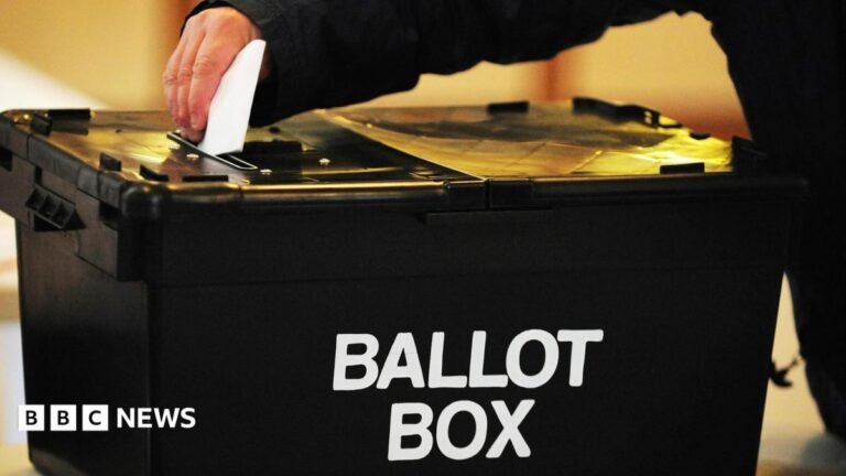 A bin, two foxes and a reality TV star: the candidates fighting Clacton