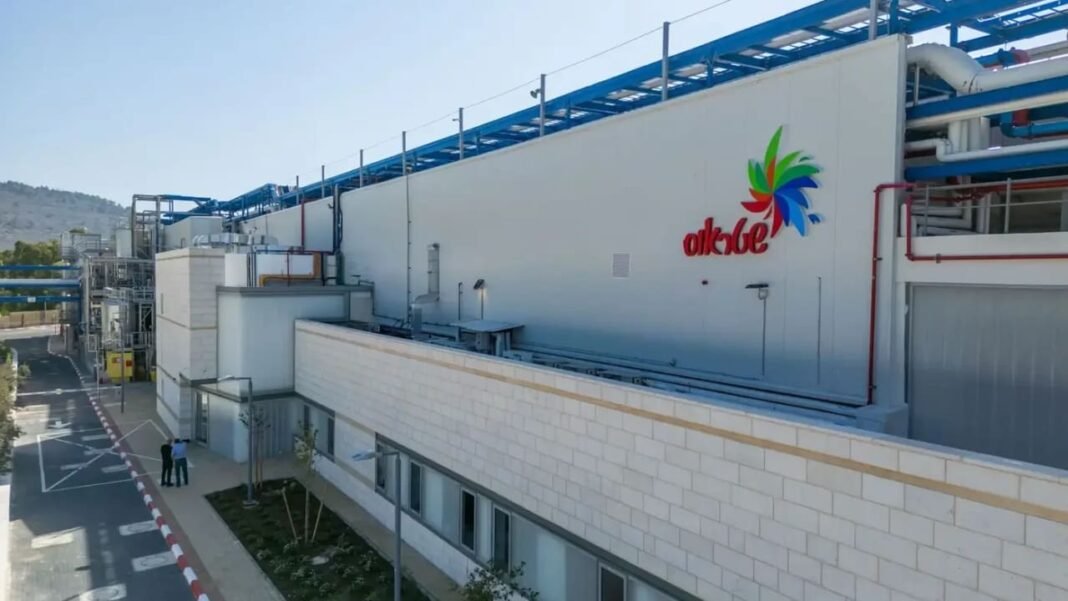 A turnover of NIS 7 billion has entered Strauss into the list of centralized companies