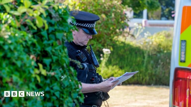 Ann Widdecombe murder probe: What we know so far