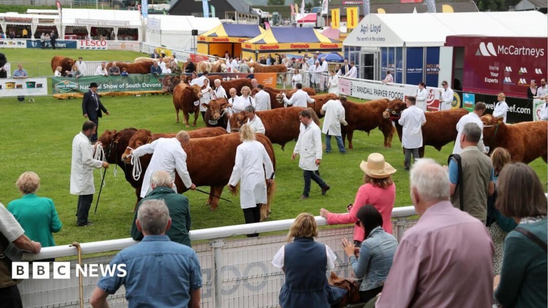 Controversial farm subsidy scheme gets billion pound budget