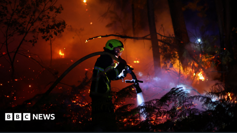 Firefighters battle wildfire as tens of thousands evacuated near Bordeaux