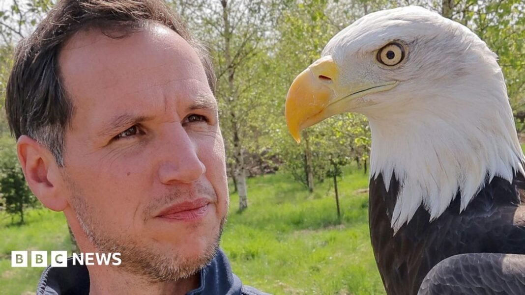 How new bird show hopes to help endangered flyers