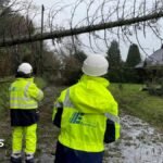 Minister to bring forward storm compensation law