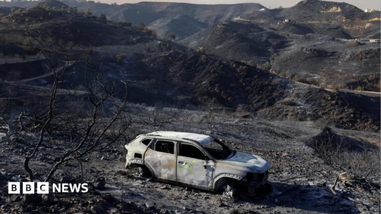 Spain battles to contain one of its deadliest wildfires as at least 12 killed