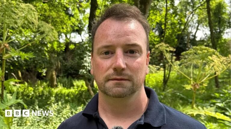 Tackling the 'nasty' plant that can cause blisters and scars