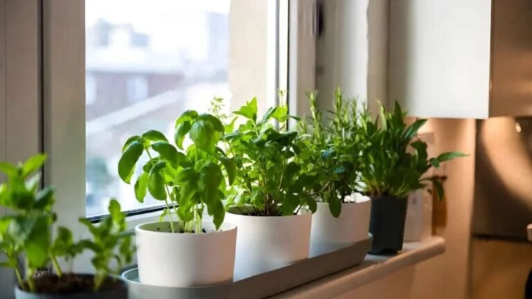 The simple addition to any meal that may help against viruses, illnesses – and also cancer