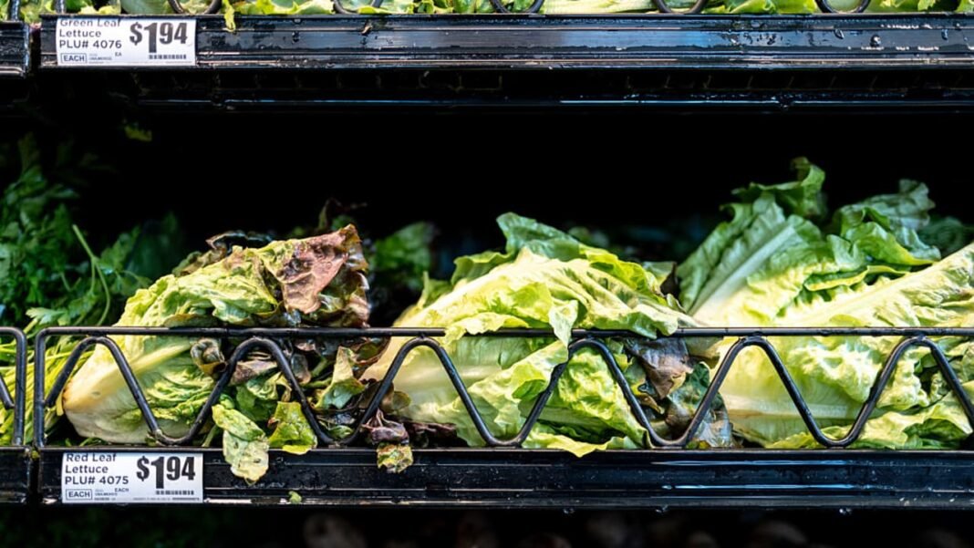 US FDA confirms Taylor Farms lettuce sample linked to parasitic illness affecting thousands