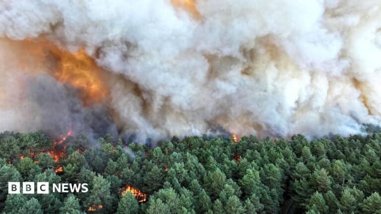 Wildfire raging south of Paris could have been set deliberately, says minister